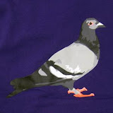 staple-purp4.jpg