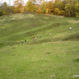 DSC01436.jpg