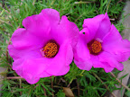 DSC01104.JPG