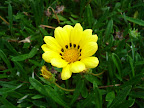 DSC01103.JPG