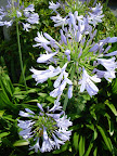 DSC01137 の補正.JPG