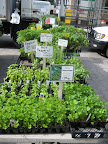 in season: At the farmer's market