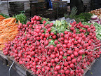 Autumn Bounty