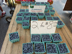 Farmer's Market Finds