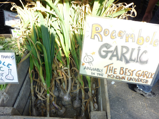  Farmers Market Finds