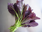  Whats at the Market: Early October