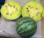  cooking from the csa: cantaloupe cooler