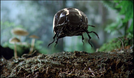 Novos VW Beetle e Passat na final do Super Bowl