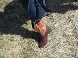 IMG_1259.jpg