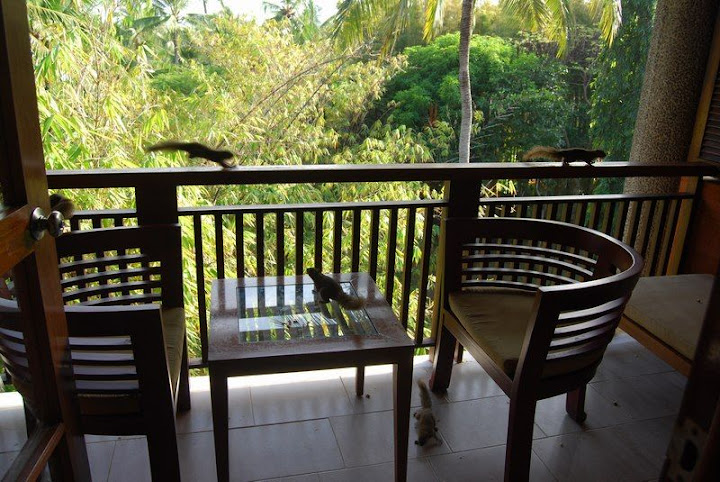 Где лучше остановиться на Бали: районы и пляжи с описанием