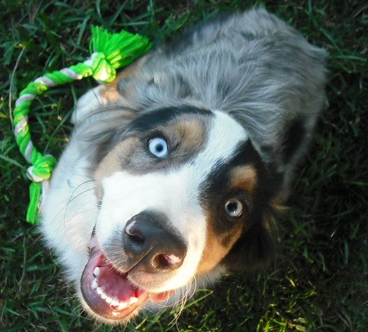 [ChaseVisitandFarmPics0201.jpg]