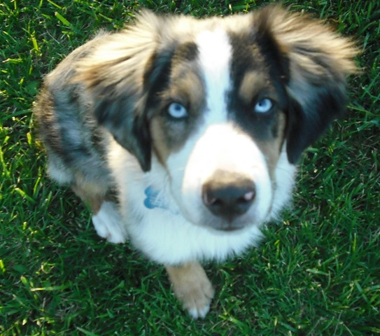 [ChaseVisitandFarmPics0311.jpg]