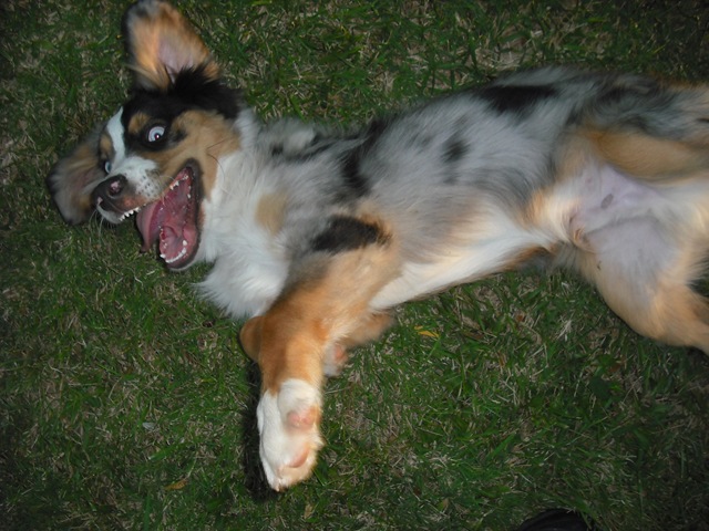 [ChaseVisitandFarmPics035.jpg]