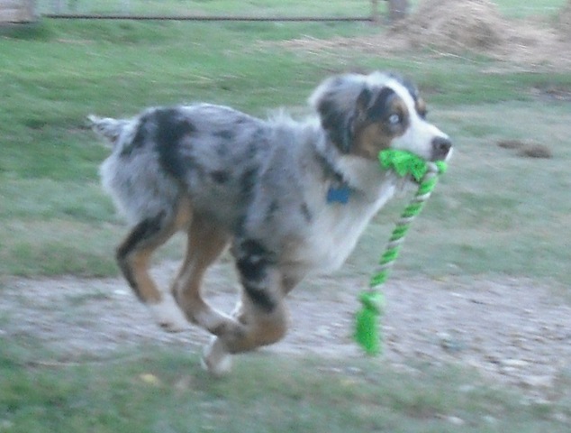 [ChaseVisitandFarmPics037.jpg]