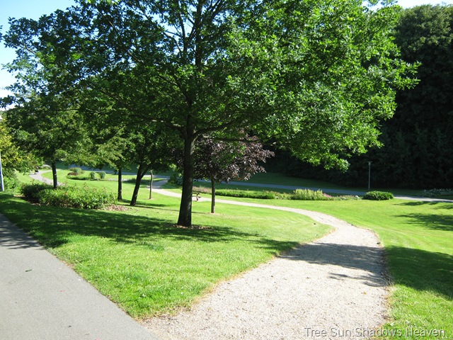 [IMG_0005[9].jpg]