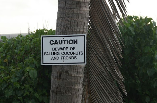 Falling Coconuts