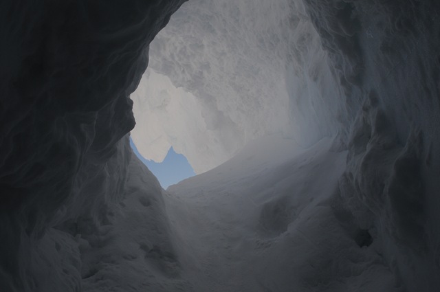 [DSC_91685.jpg]