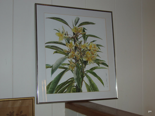 Very detailed watercolor of yellow plumeria--an original design that is sign by the artist. It is matted and framed in silver metal, behind glass to protect the artwork.Sad to part with it--because it is a warm addition to any room!Ready to hang on your wall.  Size:  21\
