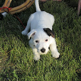 Charlie