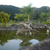 DSC00619.JPG