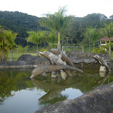 DSC00620.JPG