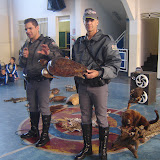DSC01146.JPG