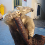 DSC01105.JPG