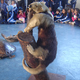 DSC01134.JPG