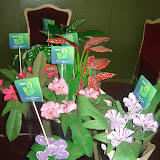 DSC01215.JPG