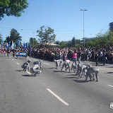 DSC00103.JPG