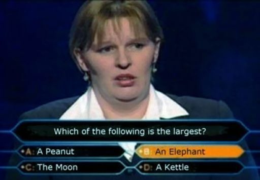 [who_wants_to_be_a_millionaire-12950[4].jpg]