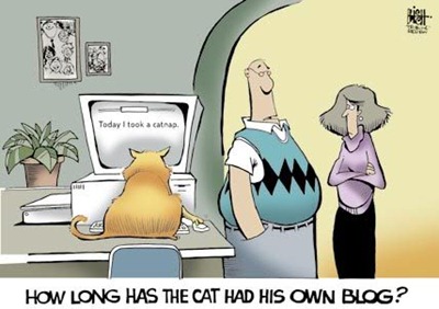 cat-blog