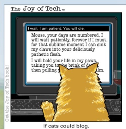 [cat_blog[4].jpg]