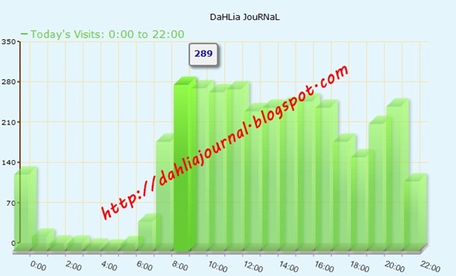 [trafikDaHLia12.jpg]