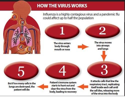 [h1n1howa[4].jpg]
