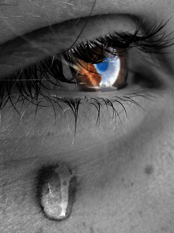 [334645-4-crocodile-tears[4].jpg]