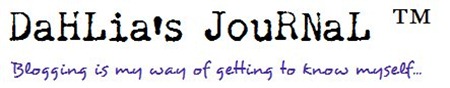 tema blog