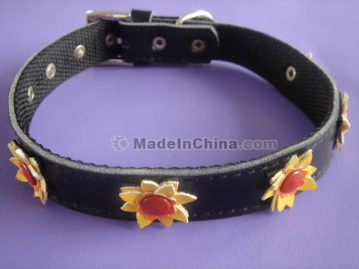 Pet China