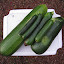Last Harvest
