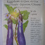 Eggplant 'Long Purple' Seeds