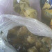 IMG0569A.jpg