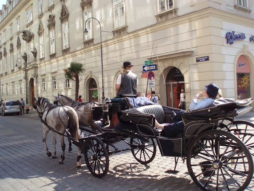 Viena Viena