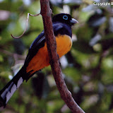 Belize2007 Photos
