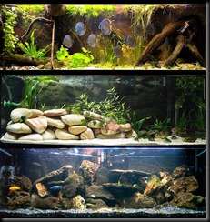 acuario_biotopop
