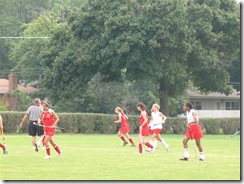 IMG_5777 (Small) IMG_5777 (Small)