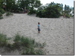 IMG_5826 (Small) IMG_5826 (Small)