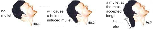 [mullet hair diagram[4].png]