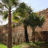 DSC08347.JPG