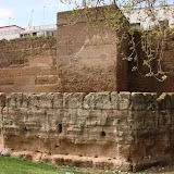 DSC08351.JPG