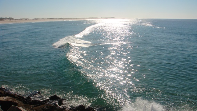 [DSC01079[2].jpg]